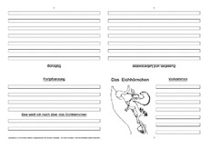 Eichhörnchen-Faltbuch-Steckbrief-vierseitig-4.pdf